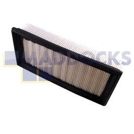 Genuine Original Nilfisk WD Series Main Filter (Pack of 1)