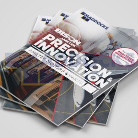 Bison Ametek Precision & Innovation Brochure